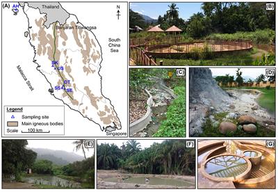 Effects of Physiochemical Factors on Prokaryotic Biodiversity in Malaysian Circumneutral Hot Springs